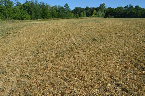 Property photo 105 - 21 Acre Modern Country Estate